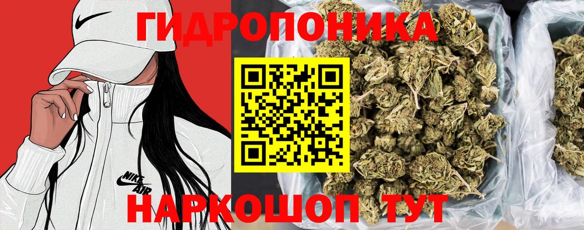Конопля планчик  Канабис тримм  Минеральные Воды  Вход с VPN  Конопля Bruce Banner 